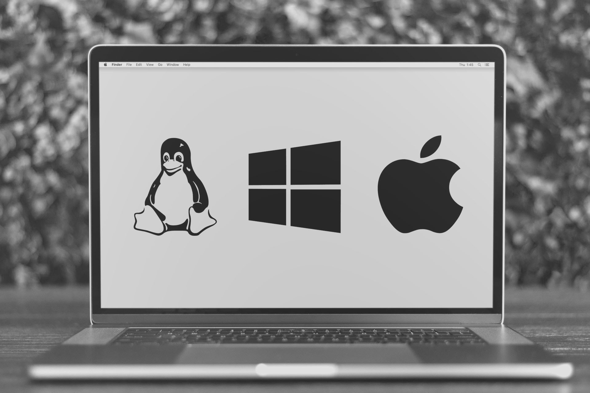 Apple, Windows oder doch Linux?